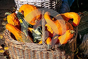 Orange decorative pumpkins in a wicker basket for sale at the market.
