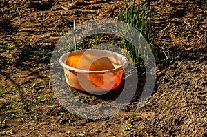 Orange dirty bowl in a dug garden, garden job