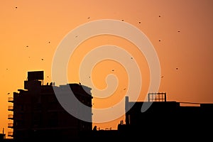 orange dusk shot with silhouette of buildings with kites flying in the sky on the traditional festival of sankranti