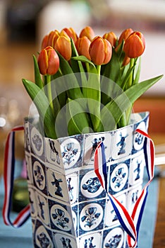 Orange Dutch tulips