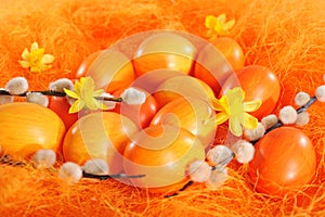 Orange easter eggs