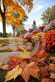 Orange fallen leaves and autumn flowers photo