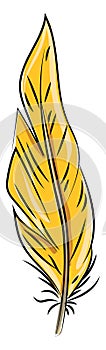 Orange feather, illustration, vector