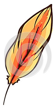 Orange feather, illustration, vector