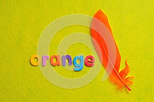 An orange feather with the word orange