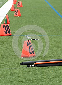 Orange Field Markers On Football Field