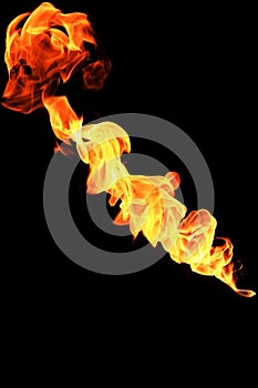 Orange fire flames in the shape of the bear on a black background