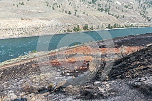 Orange fire retardant spread over the banks of the Thompson River near Spences Bridge, British Columbia, Canada photo