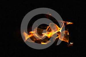 Orange flame fire on black background. Dramatic flames flickering against the darkness. Fire and heat element, danger, intensity,