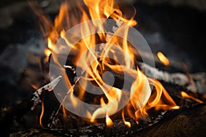 orange flames of a campfire