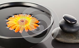 Orange flower floating on a black bowl