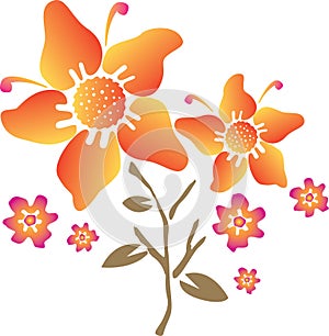 Orange flower illustration