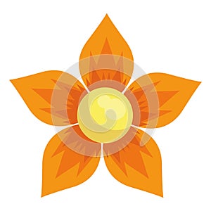 orange flower illustration