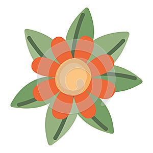 orange flower illustration