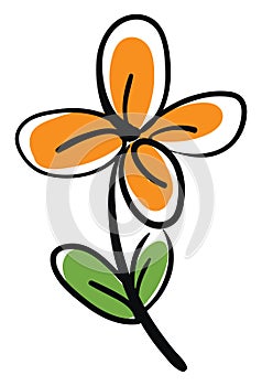 Orange flower, illustration, vector