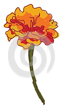 Orange flower, illustration, vector