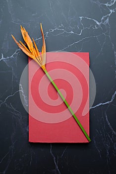 Orange flower and red book