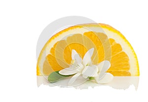 Orange, flower and slice.