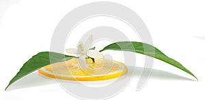 Orange, flower and slice.