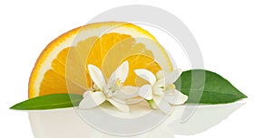 Orange, flower and slice.
