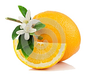 Orange, flower and slice.