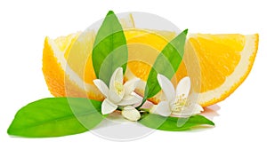 Orange, flower and slice.