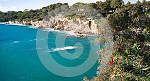 Orange flowers Aloe, blue sea, and cliffs on the `Cap d`Antibes`, French riviera , France