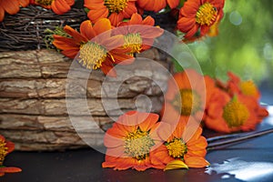 Orange flowers arranged in rustic containers with natural light