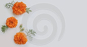 Orange flowers concepts decorative card autumn on a light background design