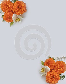 Orange flowers decorative autumn  on a light background design