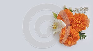 Orange flowers decorative on a light background design