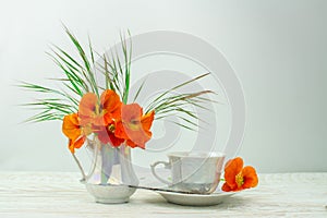 Orange flowers nasturtium with cup of coffee