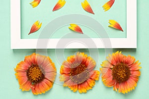 Orange flowers and petals, photo frame on a mint background.