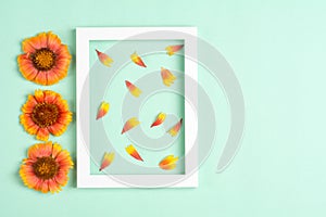 Orange flowers and petals, photo frame on a mint background.