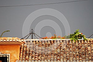 Orange flowers on roof of tiles with iron dome and gray sky