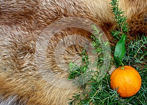 Orange fox fur new year winter holiday christmas