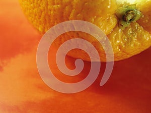 Orange fruit 1