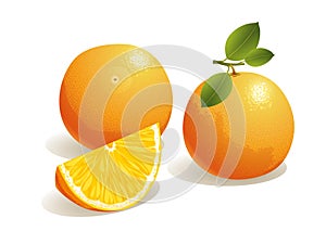 Orange Fruit