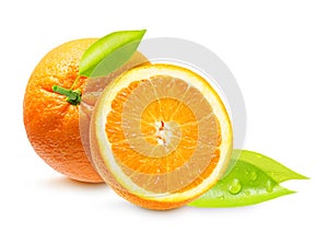 Orange fruit