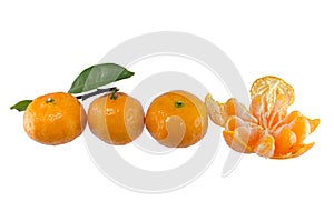 Orange fruit