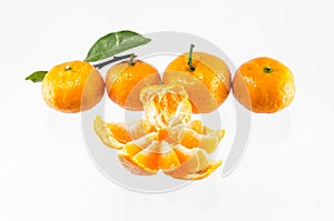 Orange fruit