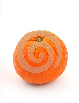 Orange fruit