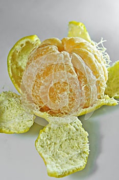 Orange fruit