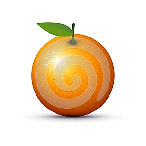An orange fruit