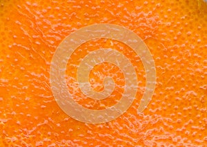 Orange fruit background