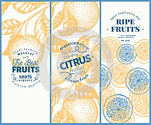 Orange fruit banner set. Hand drawn vector fruit illustration. Engraved style vintage citrus background.