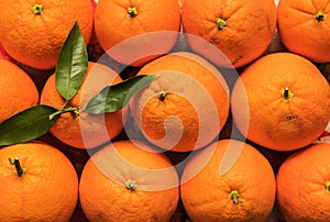 Orange fruit in bulk. Healthy citrus food picked in California