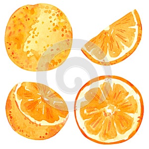 Orange fruit  clipart set. Hand drawn watercolor illustration