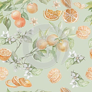 Orange fruit drawn in watercolor set separately on a white backg photo
