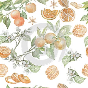 Orange fruit drawn in watercolor set separately on a white background juice leaves fruit exotic orange color photo